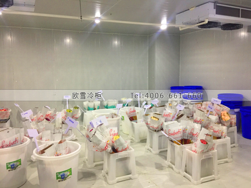 鮮花保鮮冷庫(kù).jpg