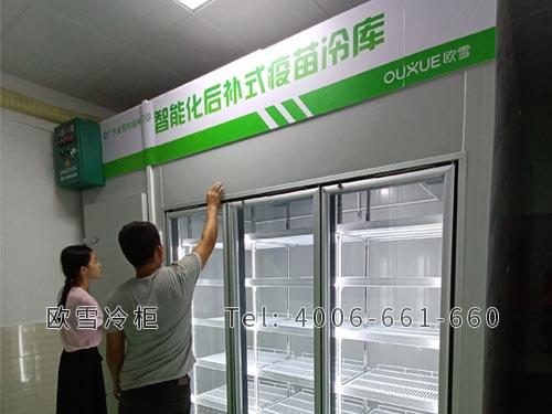 1603266840416485.jpg a55.jpg