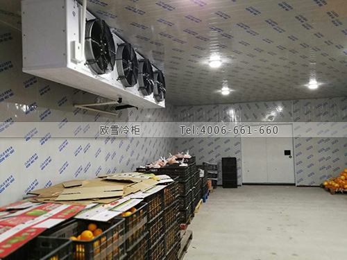 物流冷庫.jpg