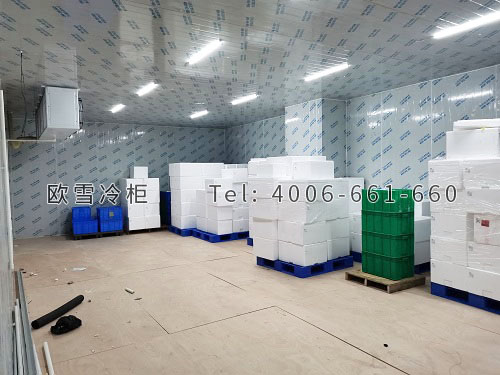 冷凍冷庫安裝.jpg