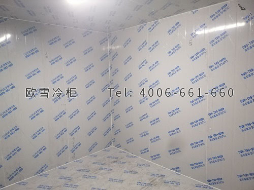 冷藏冷庫(kù)安裝.jpg