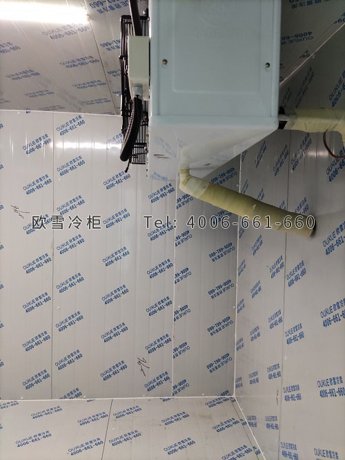 工業(yè)冷庫.jpg