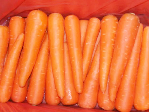 胡蘿卜保鮮冷庫(kù).jpg 胡蘿卜保鮮冷庫(kù).jpg