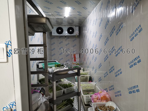小型生產(chǎn)保鮮冷庫(kù)安裝.jpg
