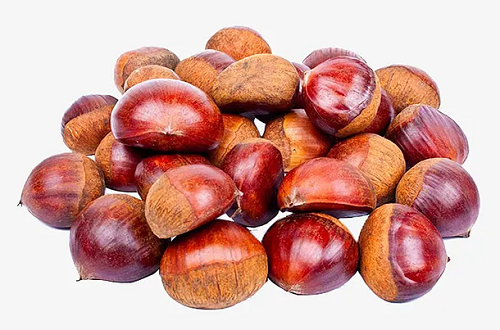 板栗冷庫(kù).png 板栗冷庫(kù).png