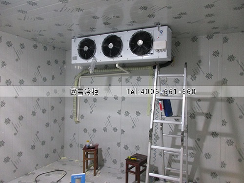 洋蔥冷庫.jpg 洋蔥冷庫.jpg