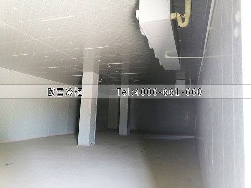 1671438713462468.jpg 2.jpg