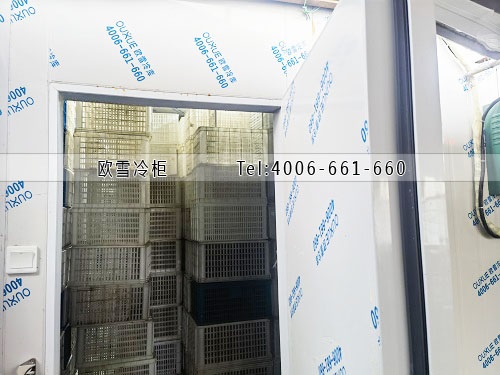 水果保鮮冷庫(kù)安裝.jpg