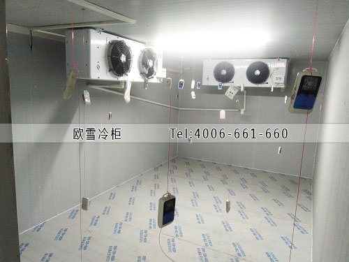 醫(yī)藥冷庫安裝.jpg