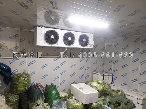 蔬菜保鮮冷庫.jpg