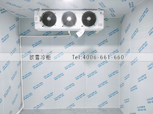 小型鮮花保鮮冷庫安裝.jpg