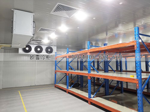 冷鏈物流冷庫(kù).jpg