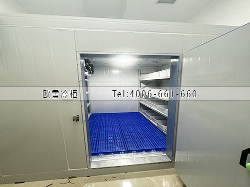 醫(yī)藥冷藏冷庫安裝.jpg