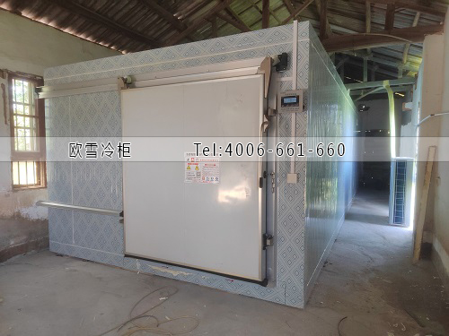 凍庫(kù)建造廠家.jpg