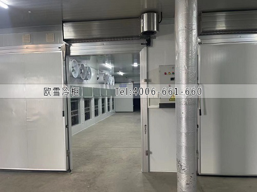 冷庫工程.jpg