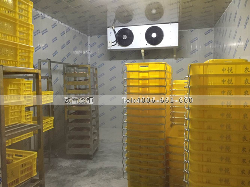 廣東省深圳市寶安區(qū)中悅農(nóng)夫冷藏庫(kù)