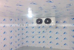 冷庫安裝-湖南果蔬農(nóng)產(chǎn)品保鮮冷藏冷庫工程設(shè)計與安裝