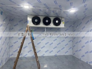 深圳龍華區(qū)零下18度的冷凍冷庫(kù)安裝案例