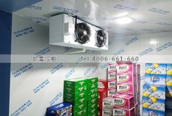 冷庫設(shè)計-廣西南寧小型酒水冷藏冷庫安裝