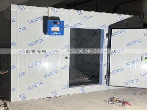 深圳市寶安區(qū)35立方的工業(yè)冷庫(kù)安裝案例