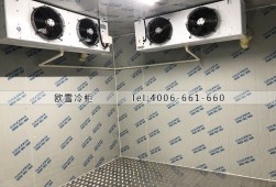 冷庫如何預(yù)防異味產(chǎn)生？異味產(chǎn)生原因？