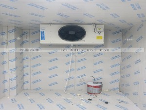 浙江杭州濱江田區(qū)小型冷凍冷庫安裝案例